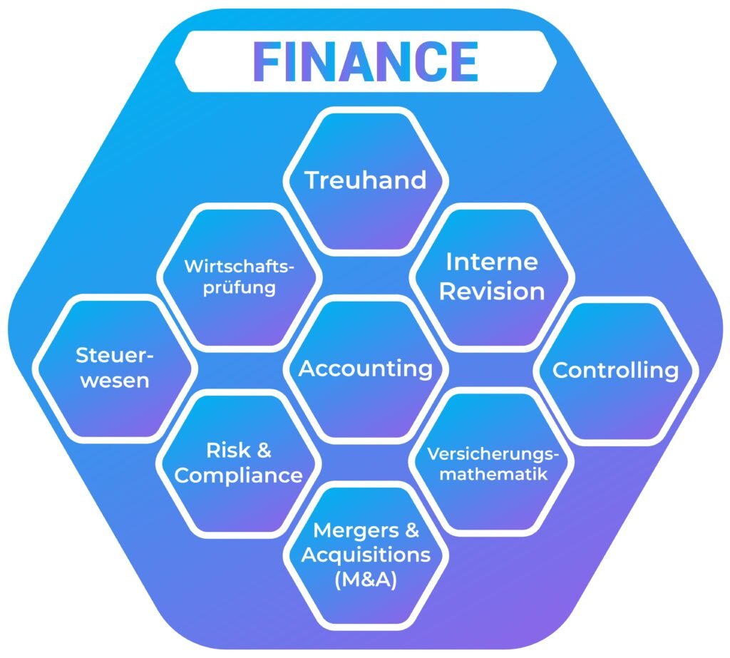 Ein Diagramm in Hexagon-Form mit dem Titel „FINANCE“, das verschiedene Finanzbereiche wie Accounting, Steuern, Controlling und Auditing listet.